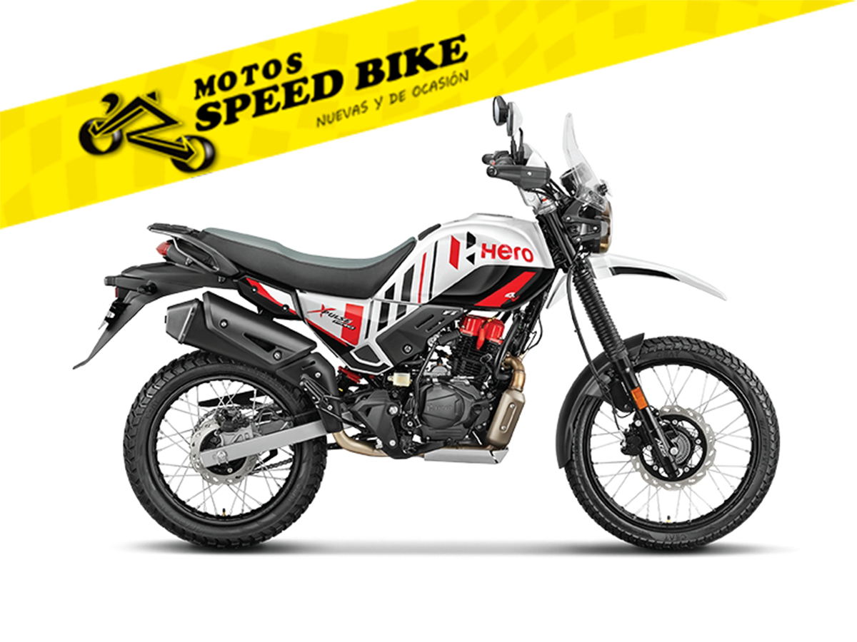 Hero Xpulse 200 4V Pro