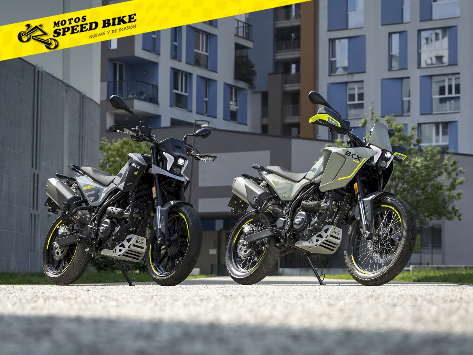Benelli BKX 300 en Madrid - imagen 7