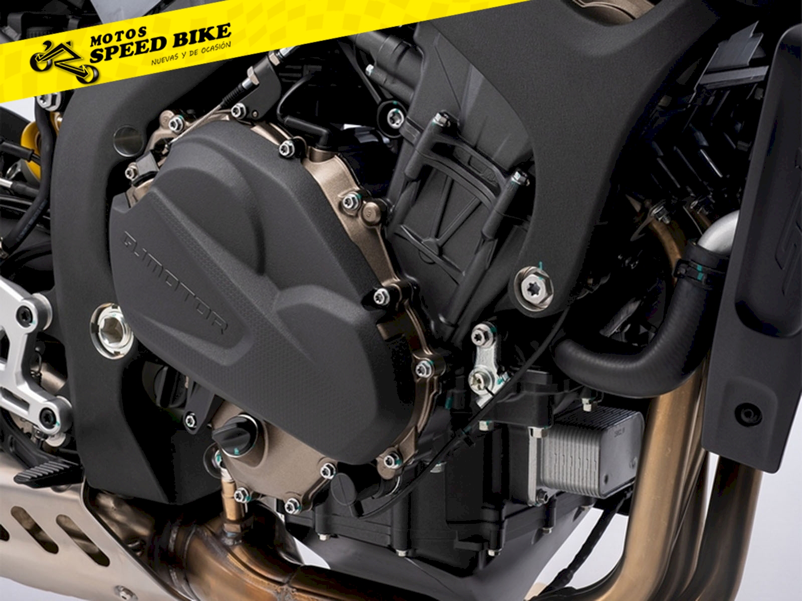 QJ Motor SRK 800 en Madrid - imagen 6